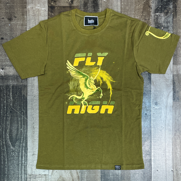DENIMiCITY- fly high ss tee (green)